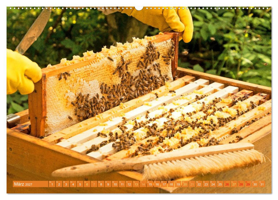 Ein Leben für den Honig: Bienen und Imker (CALVENDO Wandkalender 2027)