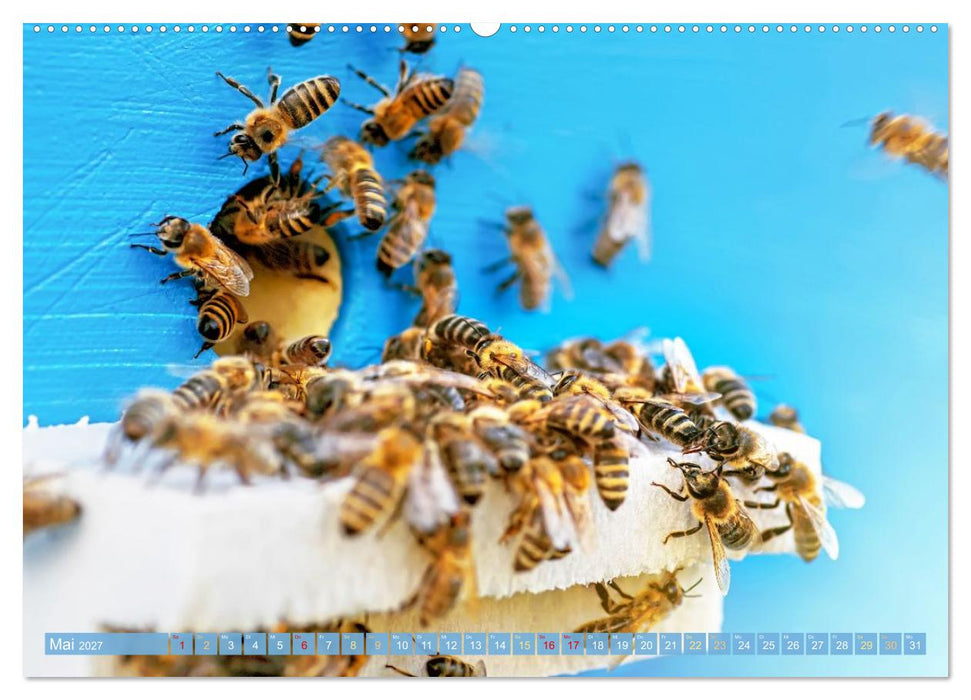Ein Leben für den Honig: Bienen und Imker (CALVENDO Wandkalender 2027)