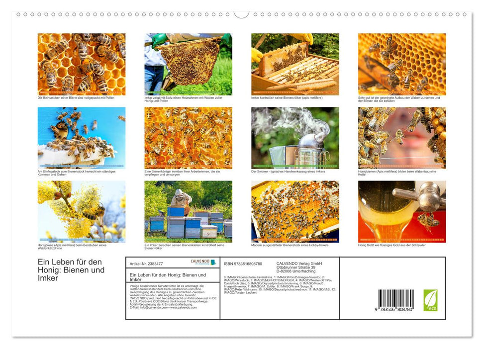 Ein Leben für den Honig: Bienen und Imker (CALVENDO Premium Wandkalender 2027)