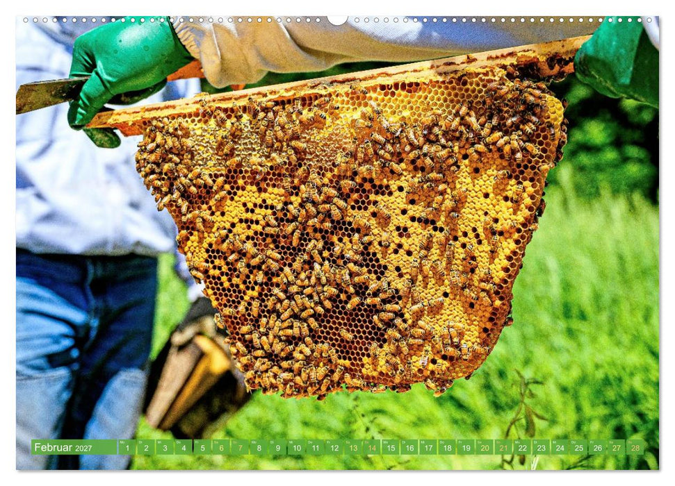 Ein Leben für den Honig: Bienen und Imker (CALVENDO Premium Wandkalender 2027)