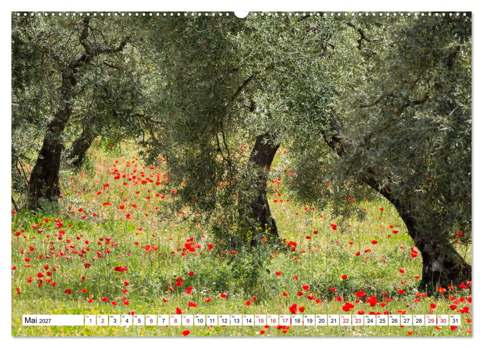 Momente einer Reise - Andalusien (CALVENDO Premium Wandkalender 2027)