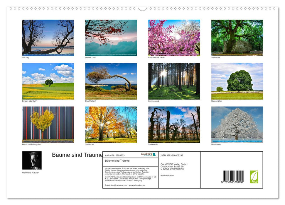 Bäume sind Träume (CALVENDO Premium Wandkalender 2027)