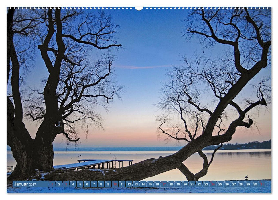 Bäume sind Träume (CALVENDO Premium Wandkalender 2027)