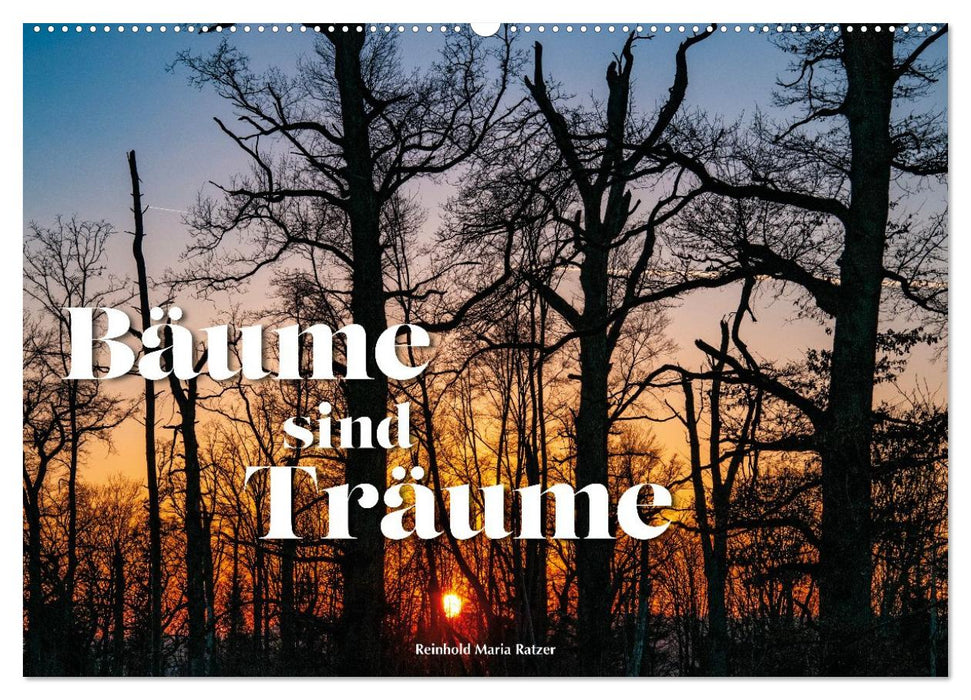 Bäume sind Träume (CALVENDO Wandkalender 2027)