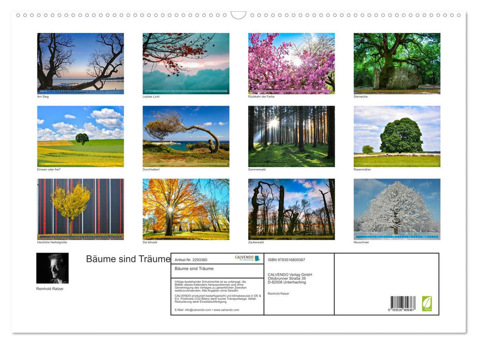 Bäume sind Träume (CALVENDO Wandkalender 2027)