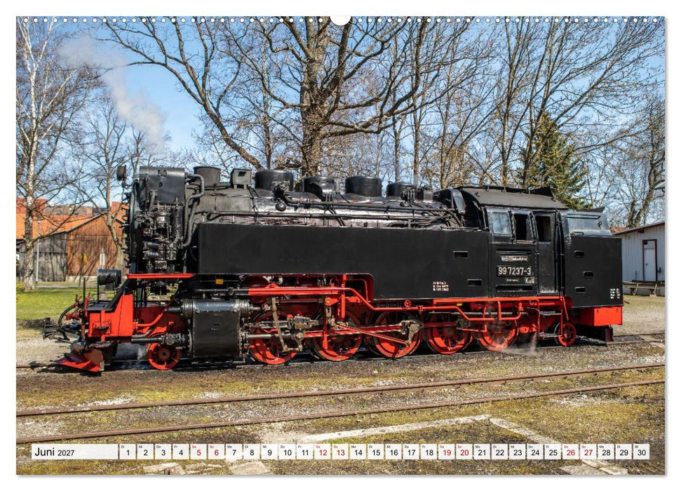 Dampflokomotiven im Harz - Eine Reise in die goldene Ära der Eisenbahn (CALVENDO Wandkalender 2027)