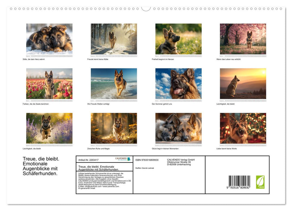 Treue, die bleibt. Emotionale Augenblicke mit Schäferhunden. (CALVENDO Premium Wandkalender 2027)