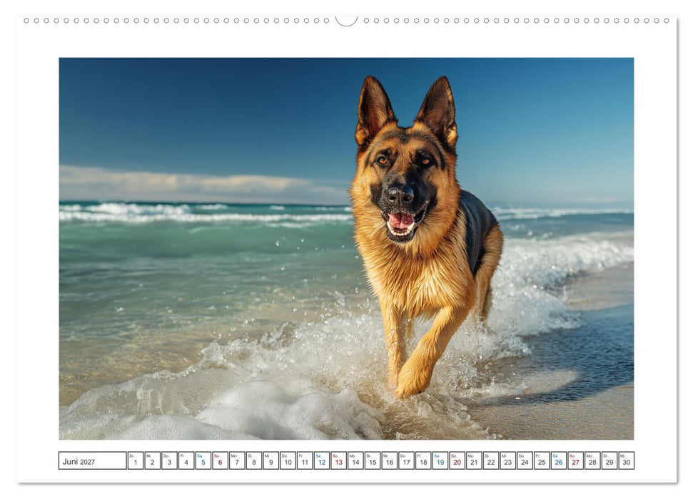 Treue, die bleibt. Emotionale Augenblicke mit Schäferhunden. (CALVENDO Premium Wandkalender 2027)