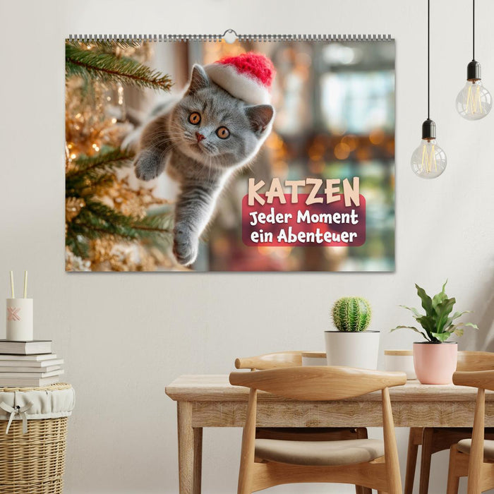 Katzen - Jeder Moment ein Abenteuer (CALVENDO Wandkalender 2027)