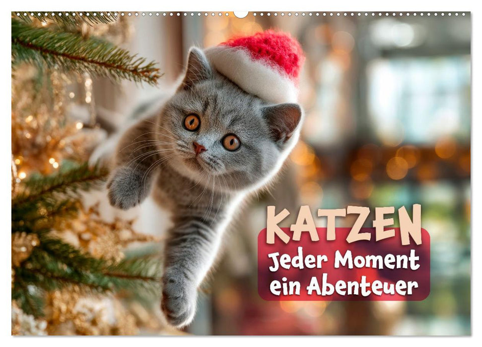 Katzen - Jeder Moment ein Abenteuer (CALVENDO Wandkalender 2027)