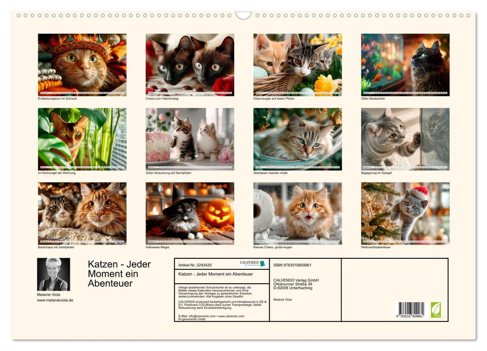 Katzen - Jeder Moment ein Abenteuer (CALVENDO Wandkalender 2027)