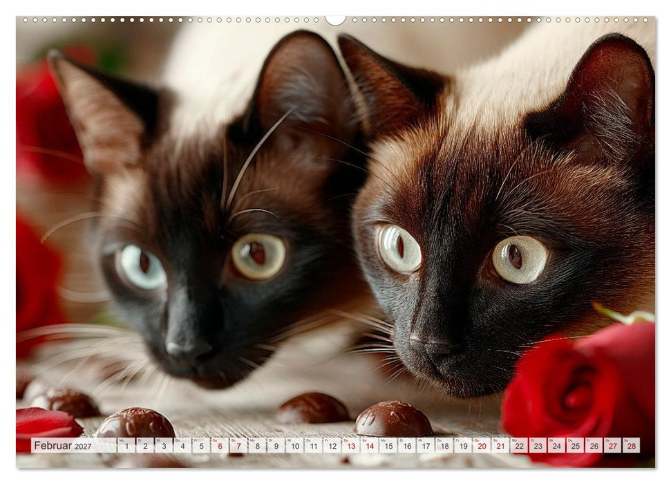Katzen - Jeder Moment ein Abenteuer (CALVENDO Wandkalender 2027)