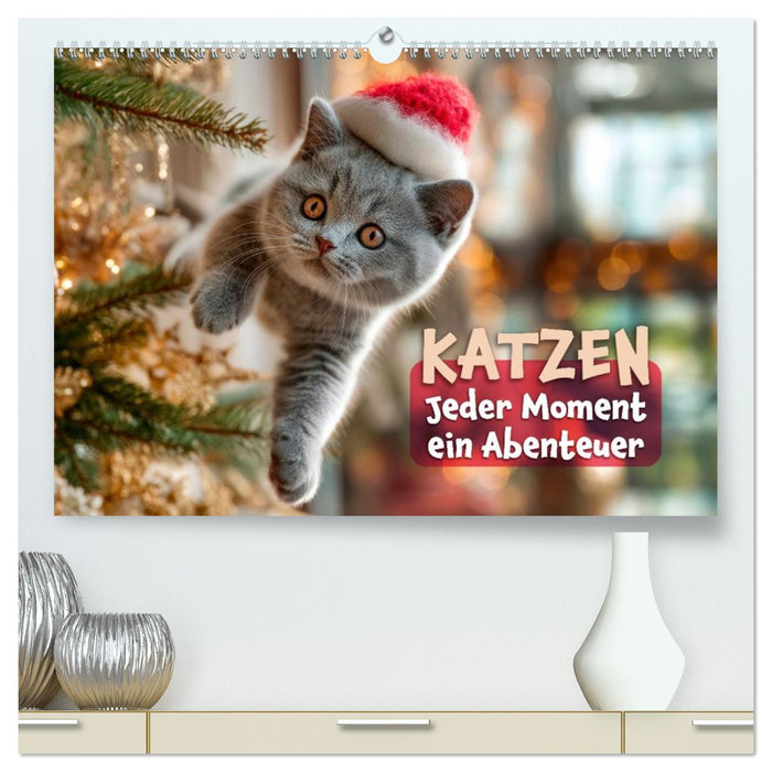 Katzen - Jeder Moment ein Abenteuer (CALVENDO Premium Wandkalender 2027)
