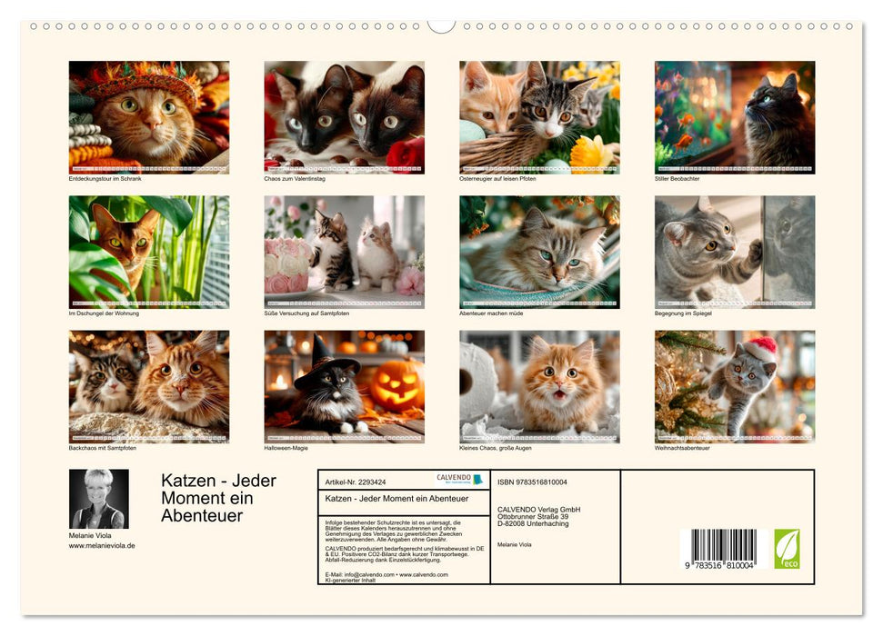 Katzen - Jeder Moment ein Abenteuer (CALVENDO Premium Wandkalender 2027)