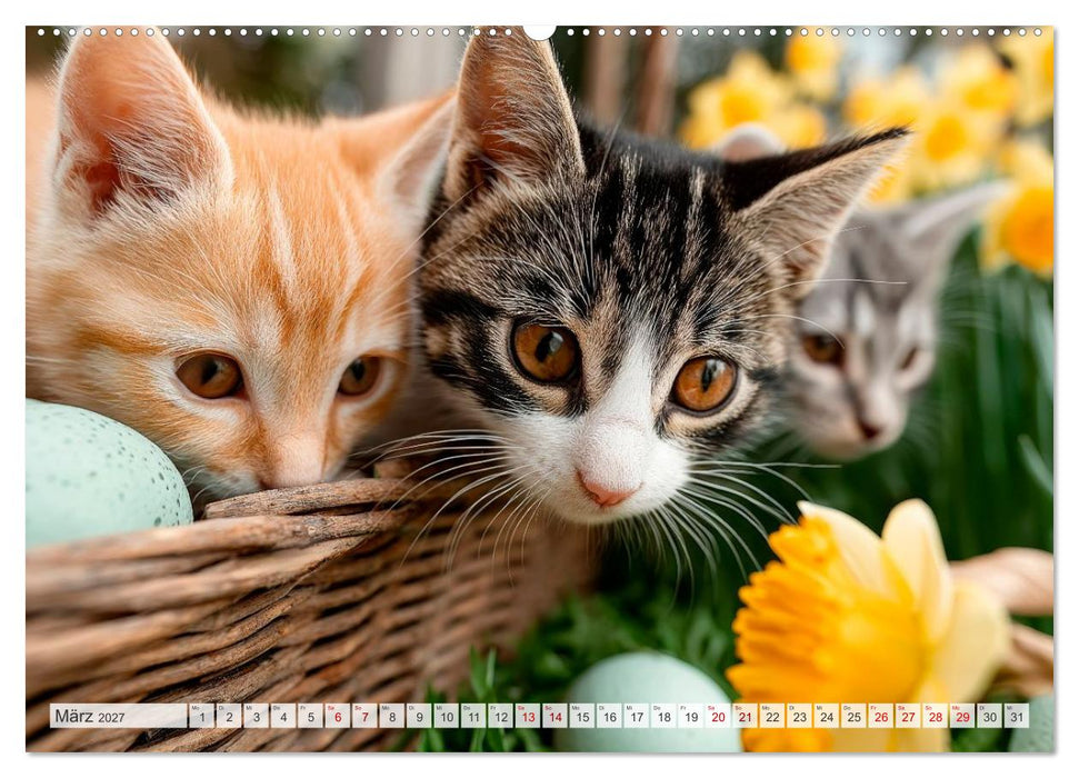 Katzen - Jeder Moment ein Abenteuer (CALVENDO Premium Wandkalender 2027)