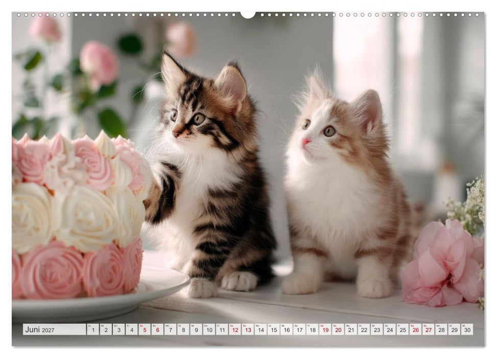 Katzen - Jeder Moment ein Abenteuer (CALVENDO Premium Wandkalender 2027)