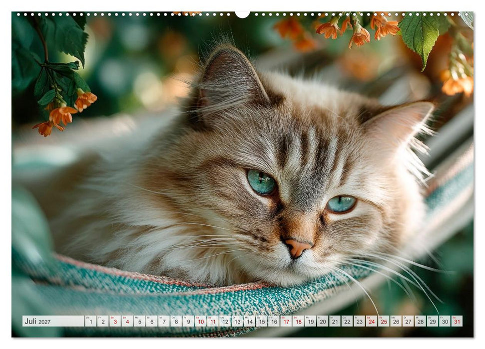 Katzen - Jeder Moment ein Abenteuer (CALVENDO Premium Wandkalender 2027)