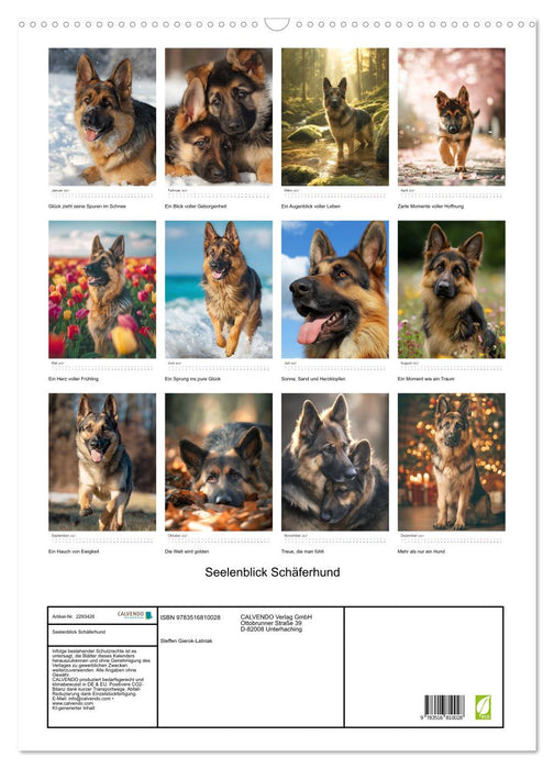 Seelenblick Schäferhund (CALVENDO Wandkalender 2027)