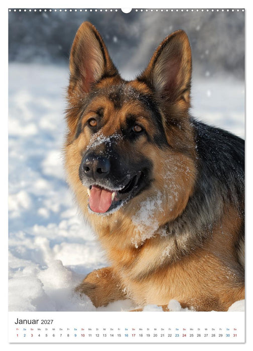 Seelenblick Schäferhund (CALVENDO Wandkalender 2027)