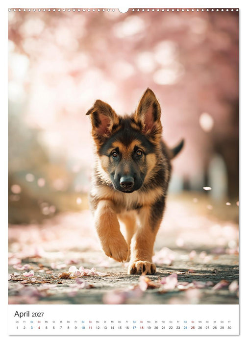 Seelenblick Schäferhund (CALVENDO Wandkalender 2027)
