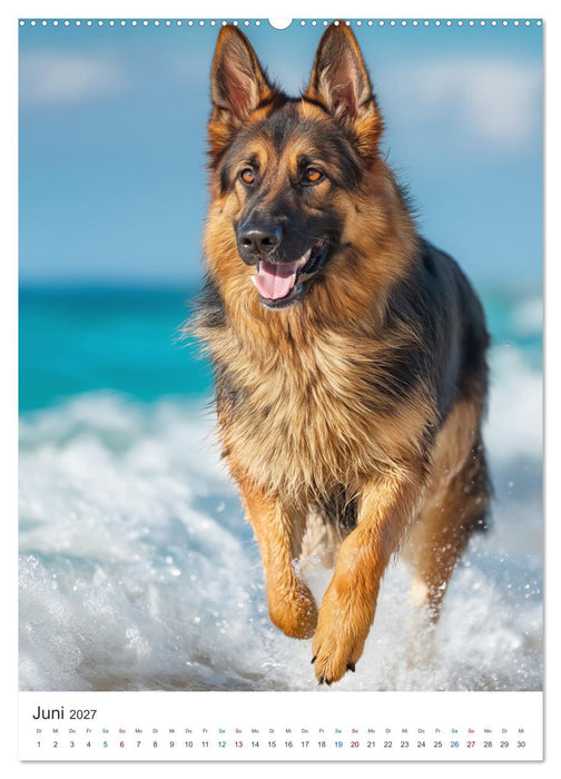 Seelenblick Schäferhund (CALVENDO Wandkalender 2027)