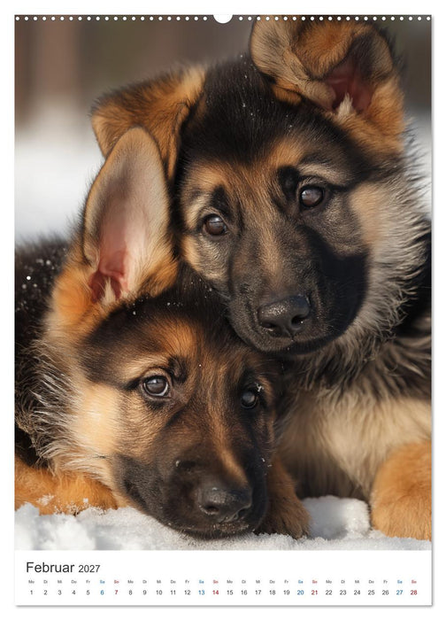 Seelenblick Schäferhund (CALVENDO Premium Wandkalender 2027)