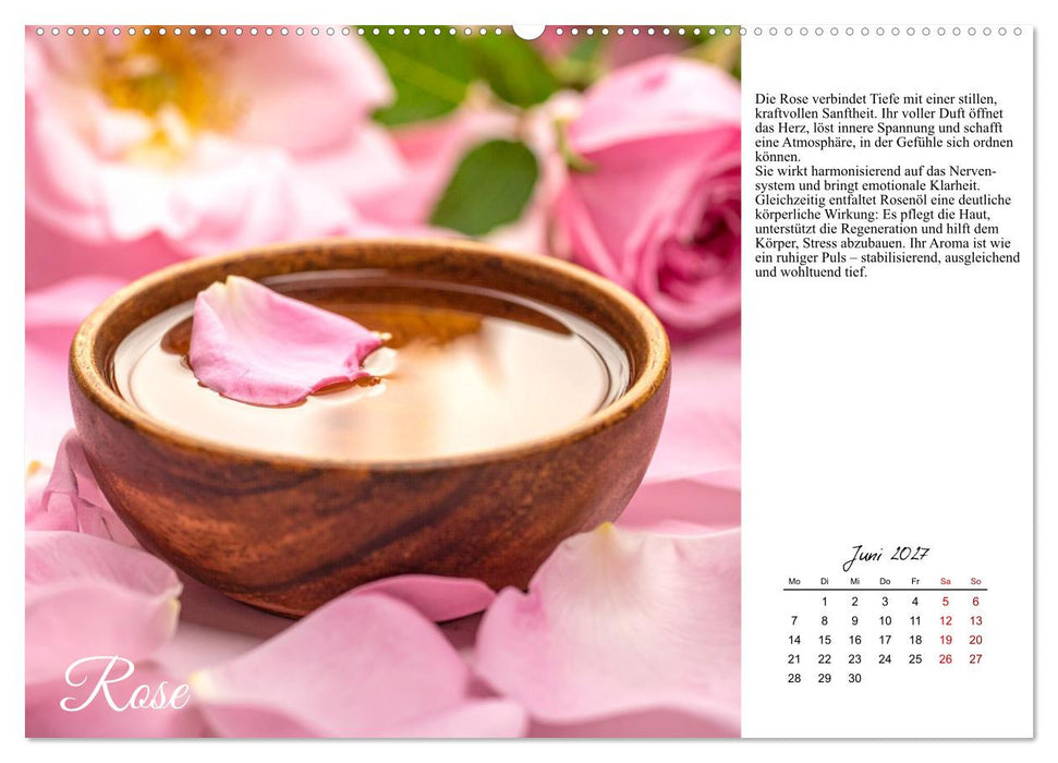 Heilsame Aromaöle (CALVENDO Wandkalender 2027)