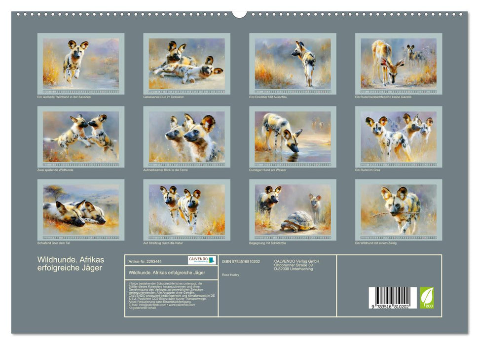 Wildhunde. Afrikas erfolgreiche Jäger (CALVENDO Premium Wandkalender 2027)