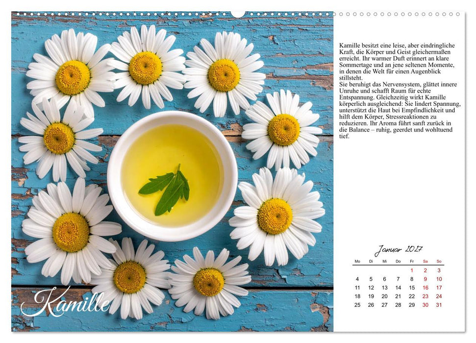 Heilsame Aromaöle (CALVENDO Premium Wandkalender 2027)