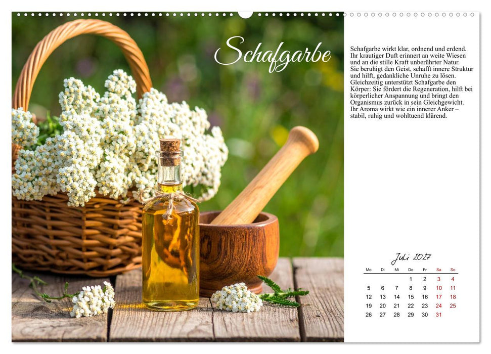 Heilsame Aromaöle (CALVENDO Premium Wandkalender 2027)