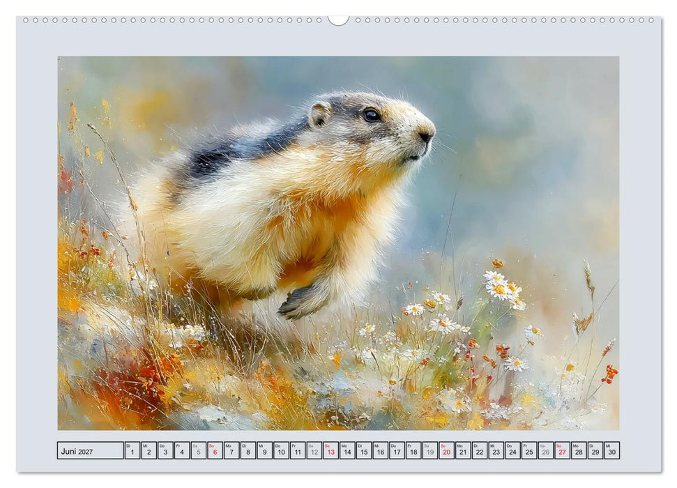 Murmeltiere. Kleine Wächter der Berge (CALVENDO Wandkalender 2027)