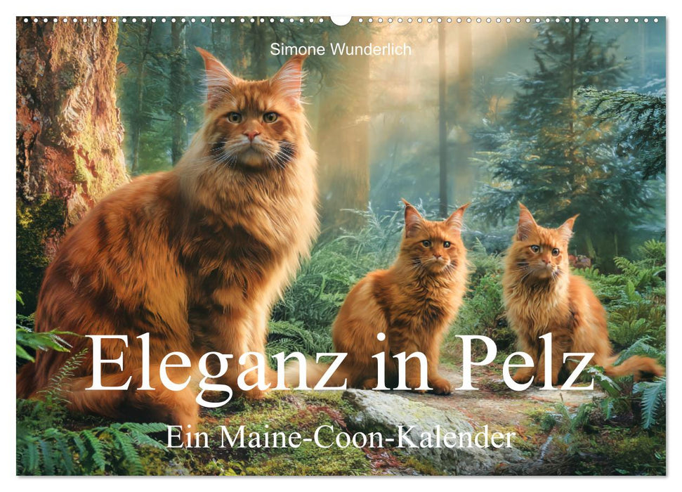 Eleganz in Pelz - ein Maine Coon - Kalender (CALVENDO Wandkalender 2027)