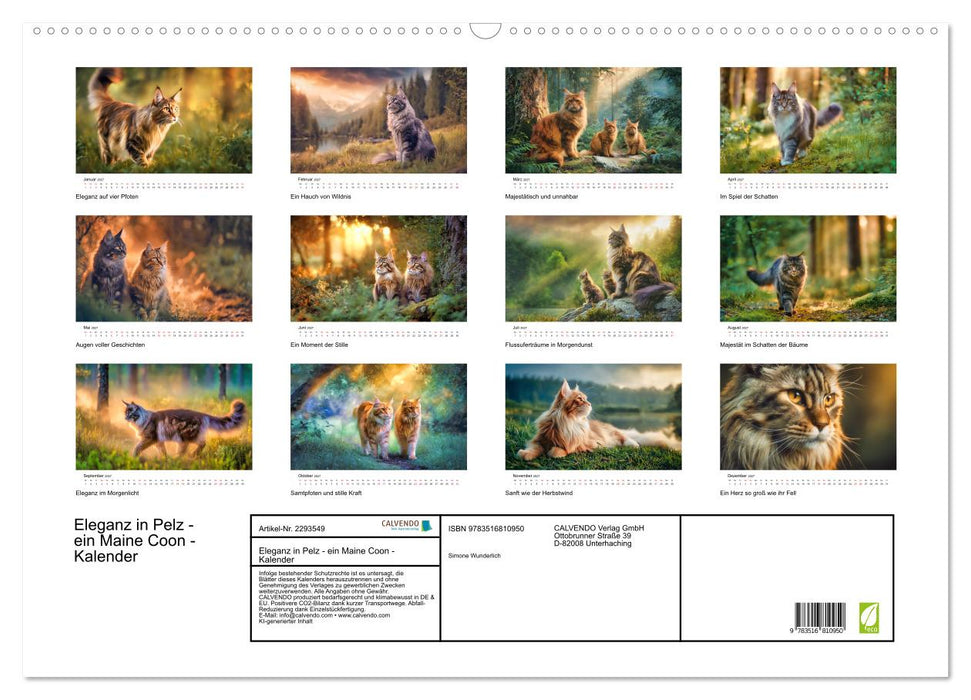Eleganz in Pelz - ein Maine Coon - Kalender (CALVENDO Wandkalender 2027)