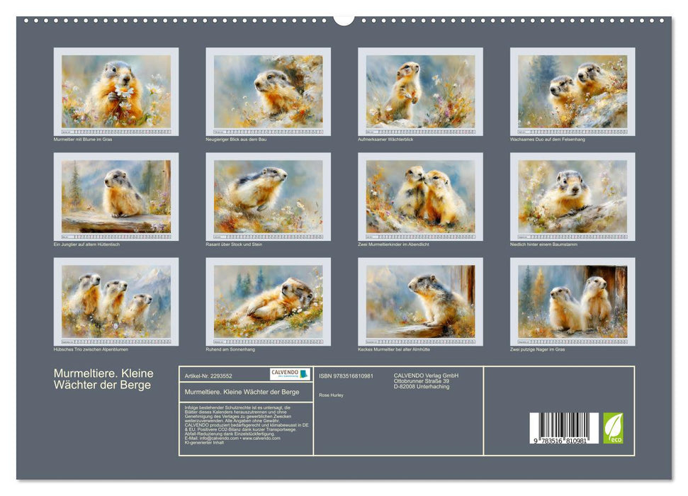 Murmeltiere. Kleine Wächter der Berge (CALVENDO Premium Wandkalender 2027)