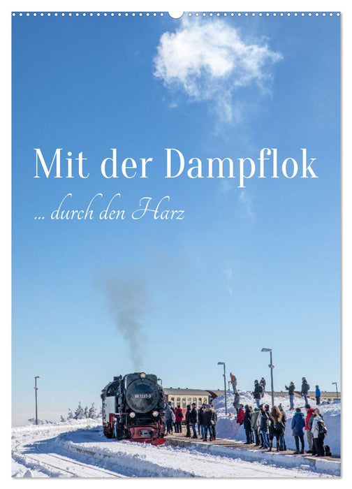 Mit der Dampflok durch den Harz (CALVENDO Wandkalender 2027)