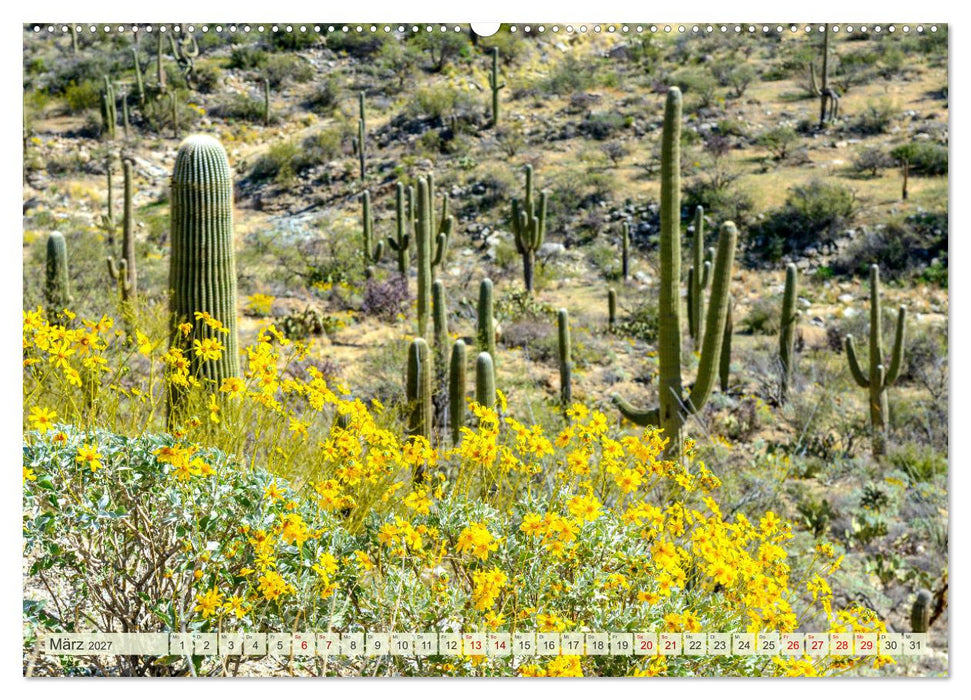 Unterwegs in ARIZONA (CALVENDO Premium Wandkalender 2027)