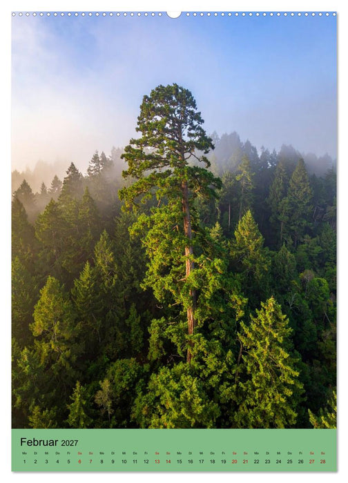 Sequoia Giganten (CALVENDO Wandkalender 2027)