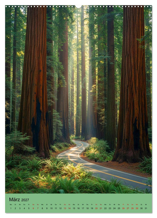 Sequoia Giganten (CALVENDO Wandkalender 2027)