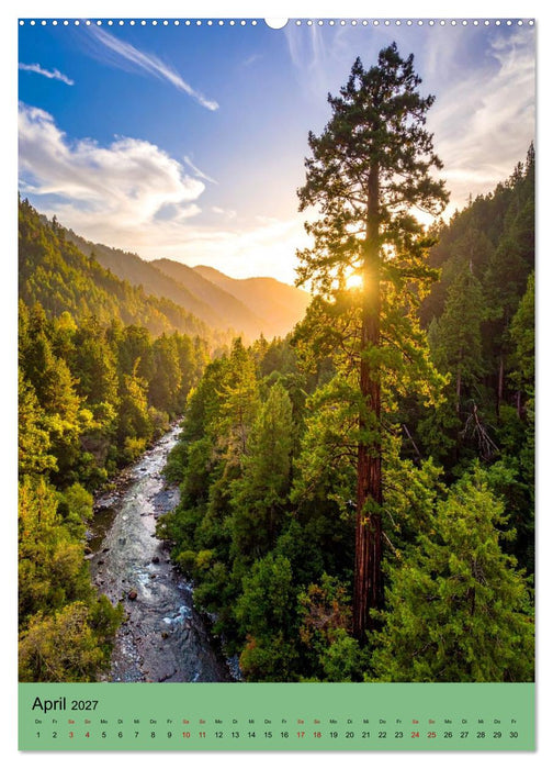 Sequoia Giganten (CALVENDO Wandkalender 2027)
