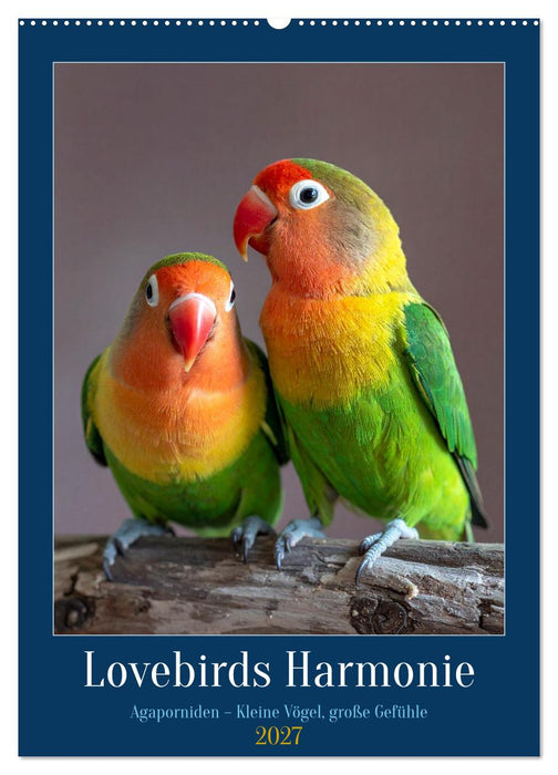 Lovebirds Harmonie (CALVENDO Wandkalender 2027)