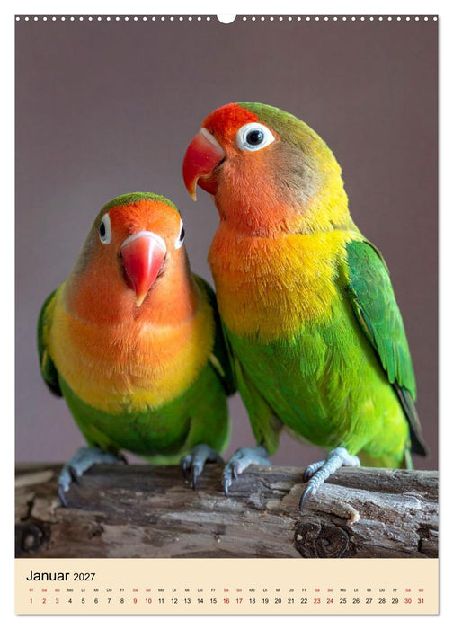 Lovebirds Harmonie (CALVENDO Premium Wandkalender 2027)