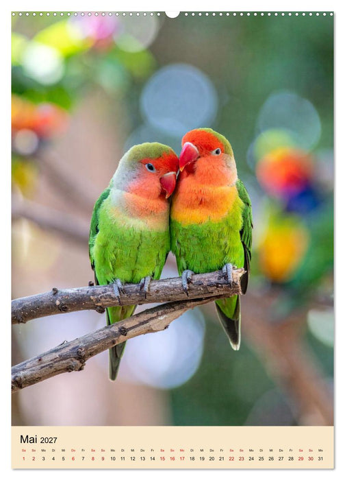 Lovebirds Harmonie (CALVENDO Premium Wandkalender 2027)