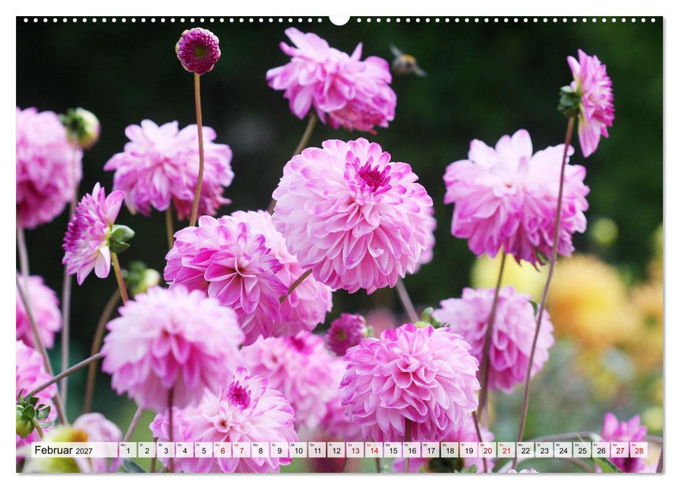 Herzensblumen (CALVENDO Wandkalender 2027)