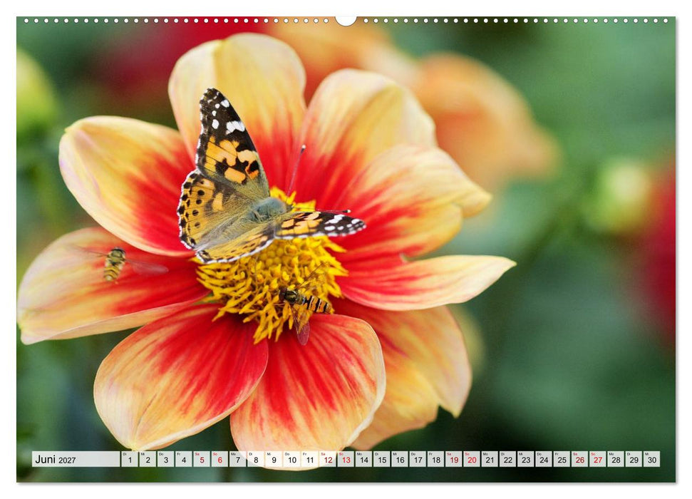 Herzensblumen (CALVENDO Wandkalender 2027)