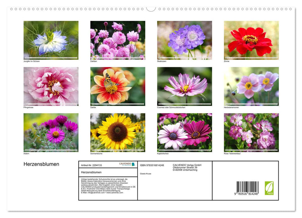 Herzensblumen (CALVENDO Premium Wandkalender 2027)