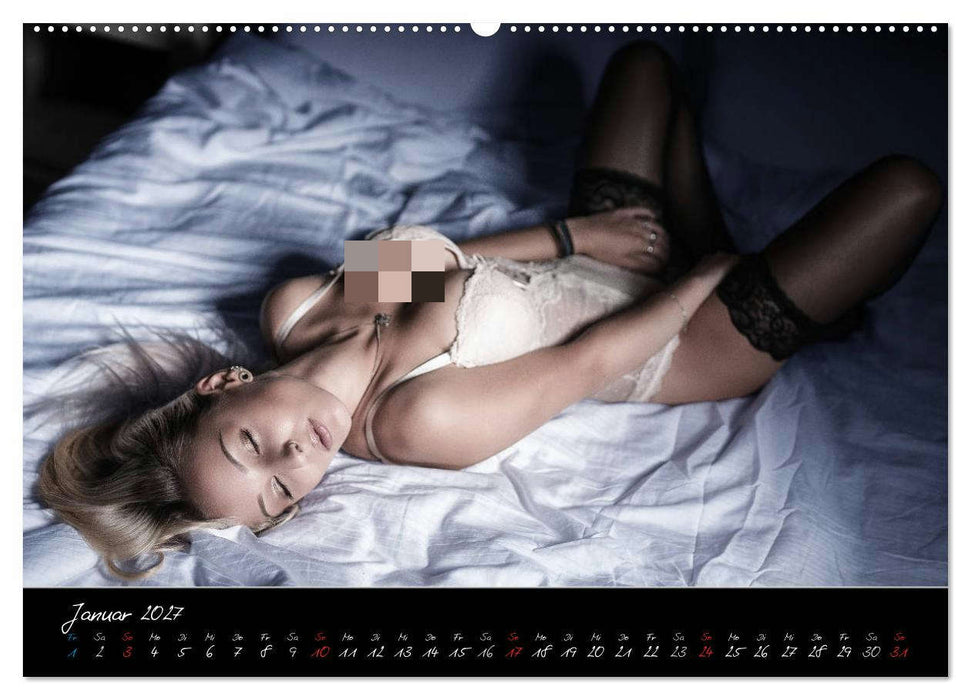 PinUp-Kalender 2027 (CALVENDO Premium Wandkalender 2027)