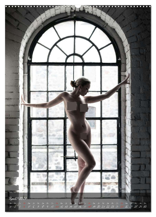 Sexy PinUp-Kalender 2027 (CALVENDO Premium Wandkalender 2027)