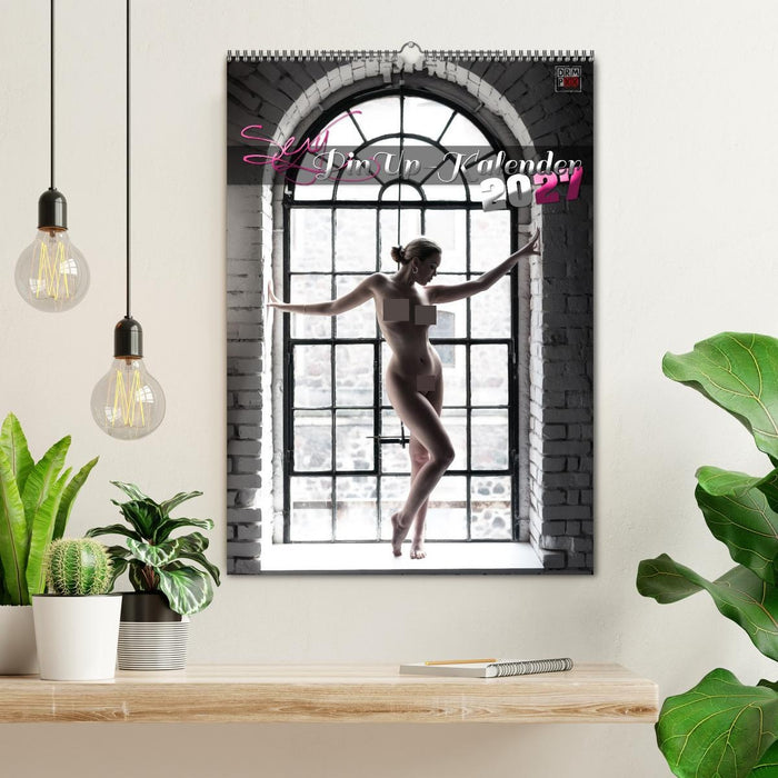 Sexy PinUp-Kalender 2027 (CALVENDO Wandkalender 2027)