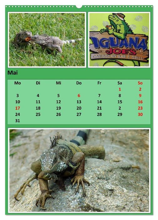 Karibik - Eindrücke einer Kreuzfahrt (CALVENDO Wandkalender 2027)