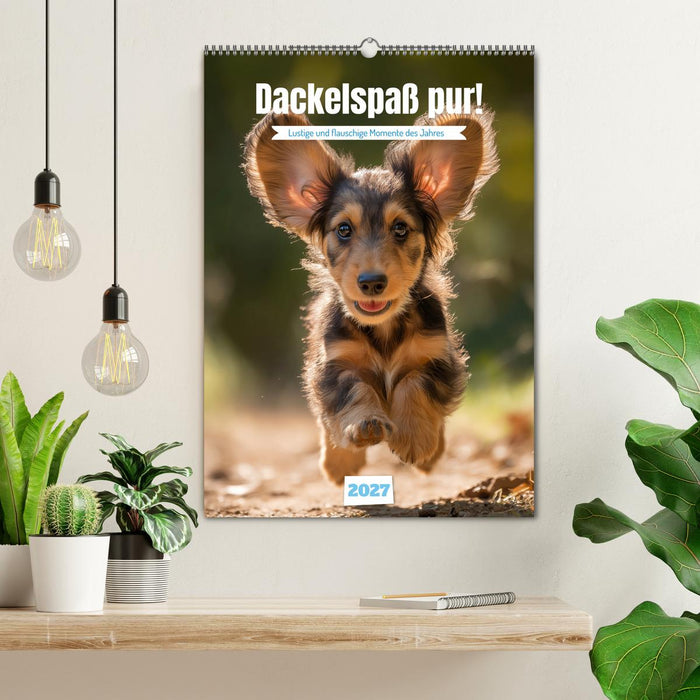 Dackelspaß pur! (CALVENDO Wandkalender 2027)